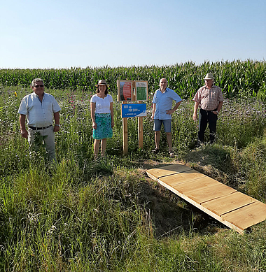 Foto Bienenweide